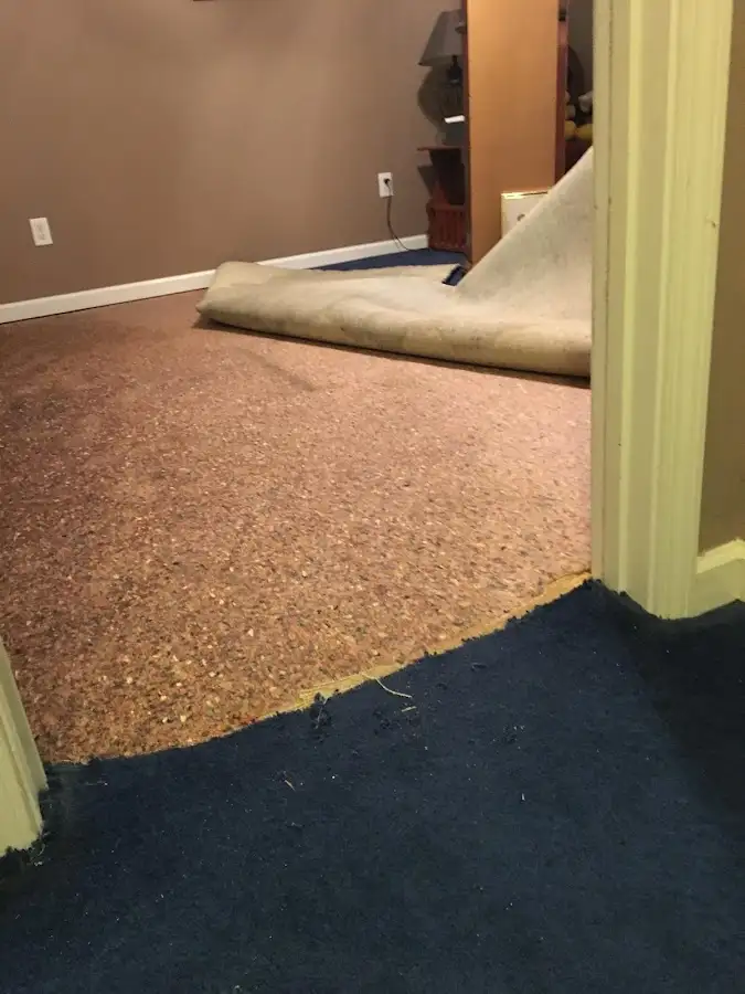 Carpet pad removal revealing water damage during Water Mitigation Services in Battlefield